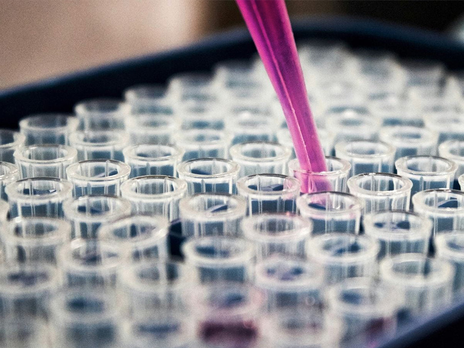 pipette and tubes